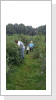 Man kann sich auch aktiv beschäftigen beim Blaubeeren pflücken und und und . . . Man kann sich auch aktiv beschäftigen beim Blaubeeren pflücken und und und . . .