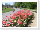 Nicht nur der Stadtpark ist sehr schön der Jahreszeit entsprechend angelegt. Nicht nur der Stadtpark ist sehr schön der Jahreszeit entsprechend angelegt.